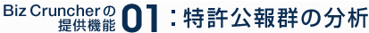 特許公報群の分析