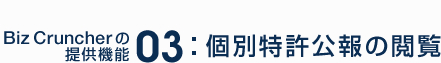 個別特許公報の閲覧